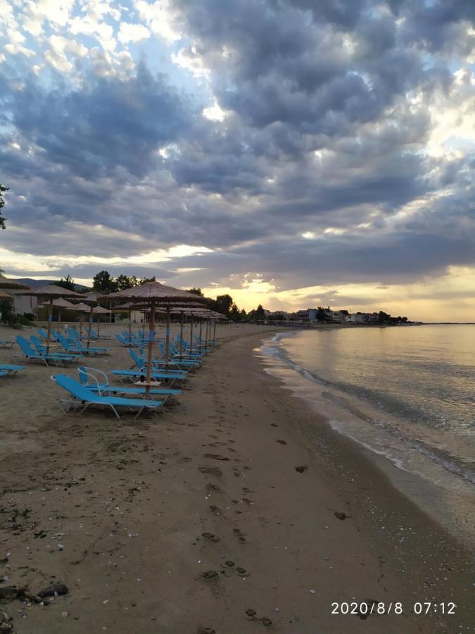 Aegean View Seaside Apartment カヴァラ エクステリア 写真